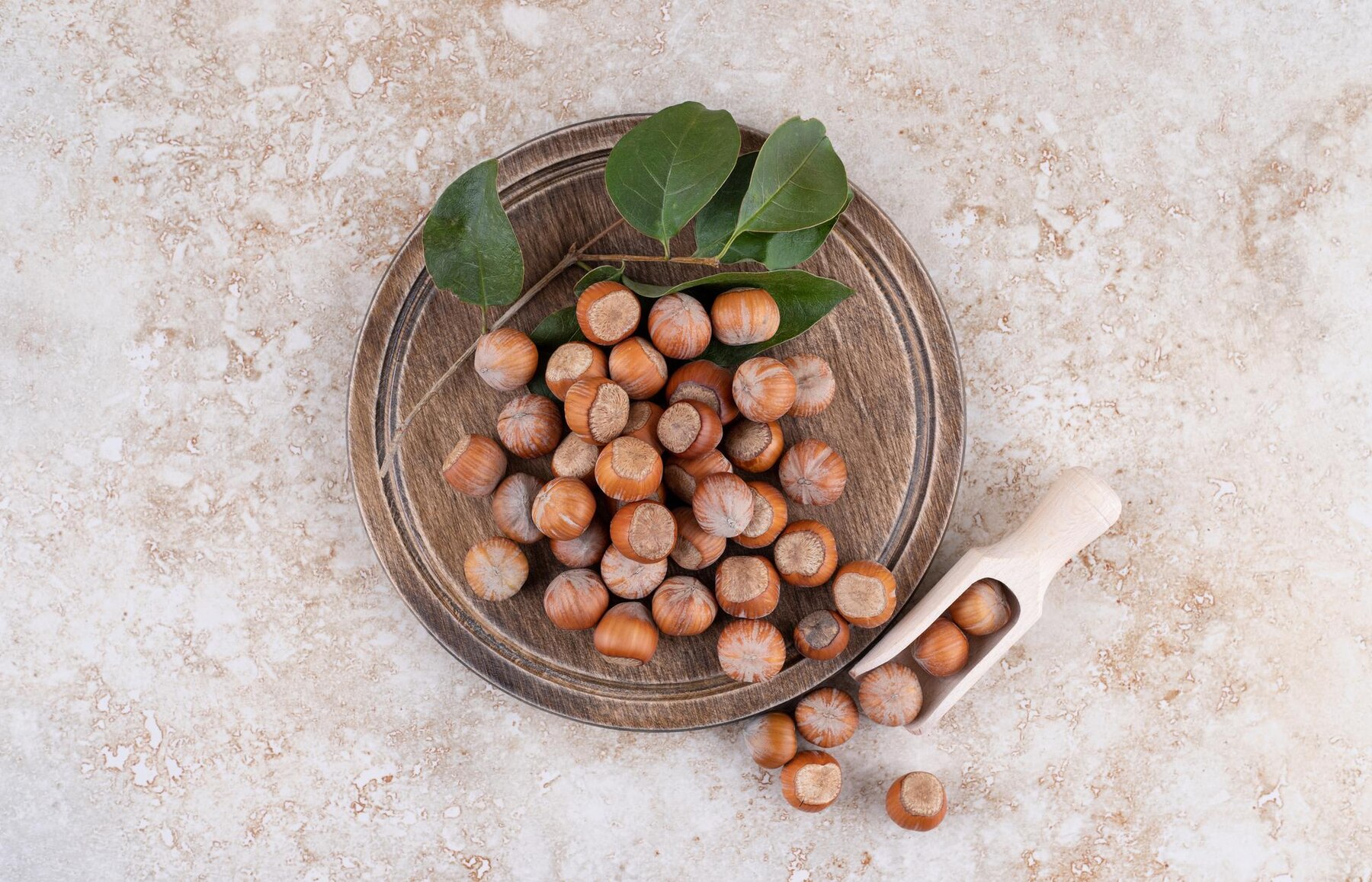 Macadamia nuts